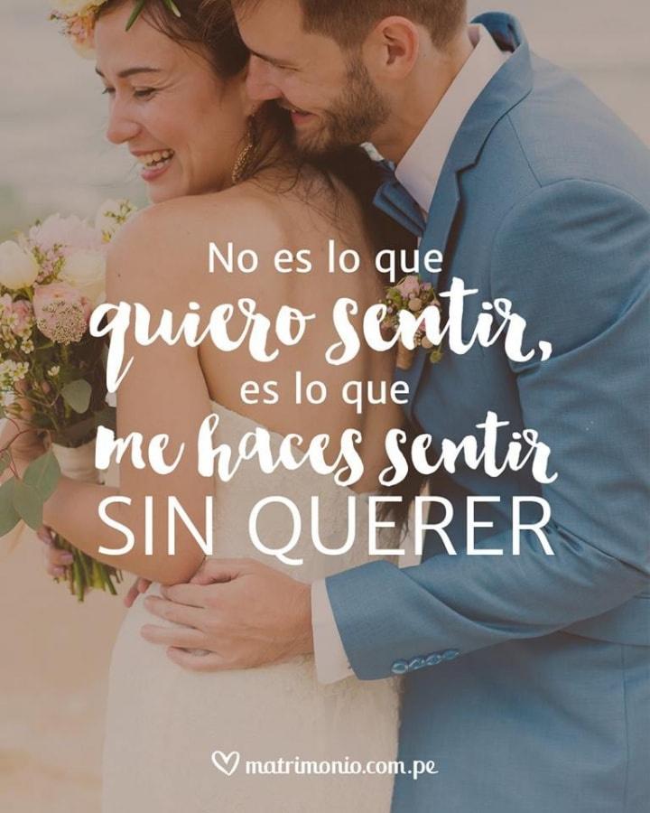 55 Frases De Amor ¡perfectas Para Dedicar A Mi Pareja 0733