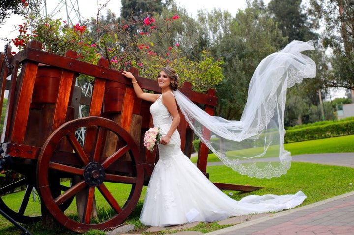 Las mejores 11 ideas de velos de novia largos*  velos de novia, velos de  novia largos, vestidos de boda