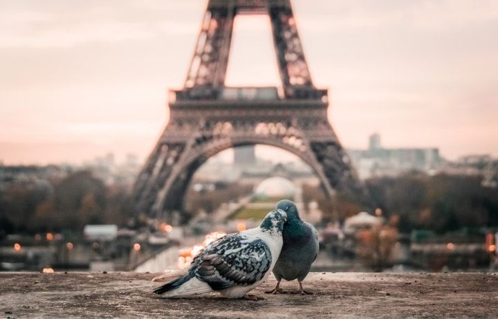 Luna de miel en París: la ciudad más romántica de Europa