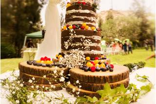 torta de matrimonio para primavera con frutos del bosque