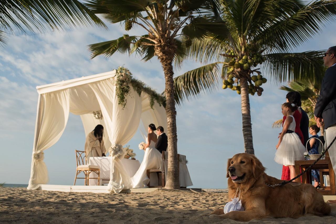 arcos para boda en jardín