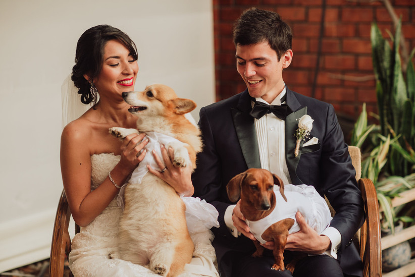 🐶 Fotos de boda con tu engreído: 10 momentos ideales 2