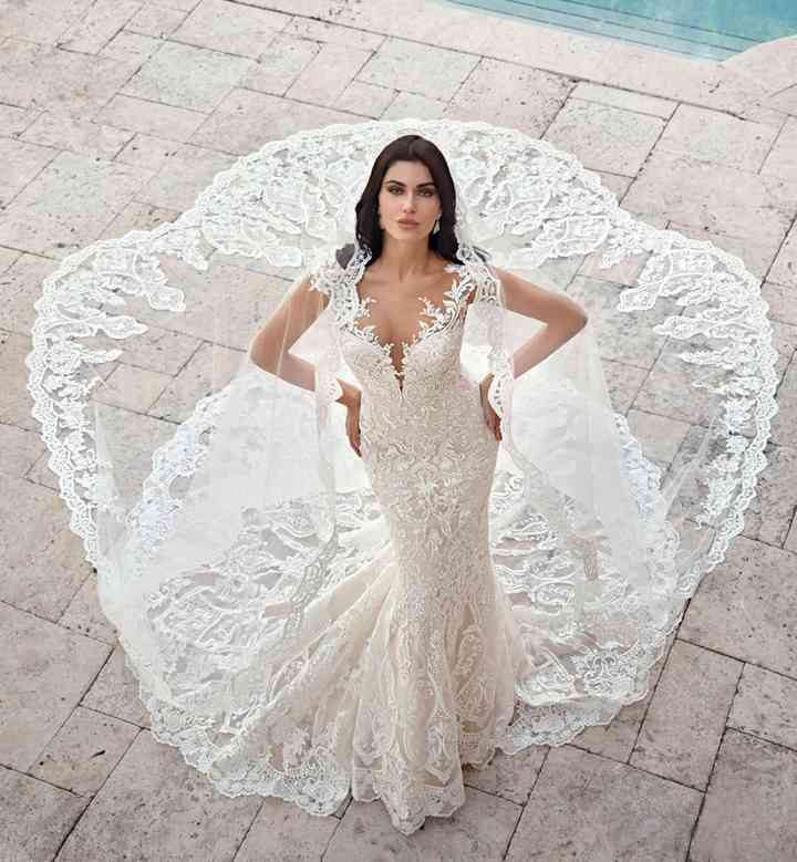 Vestidos De Novia Demetrios 2020 Cuatro Colecciones Sofisticadas Una Sola Casa