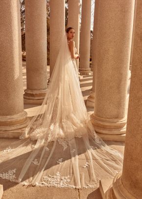 CATALINA, Galia Lahav