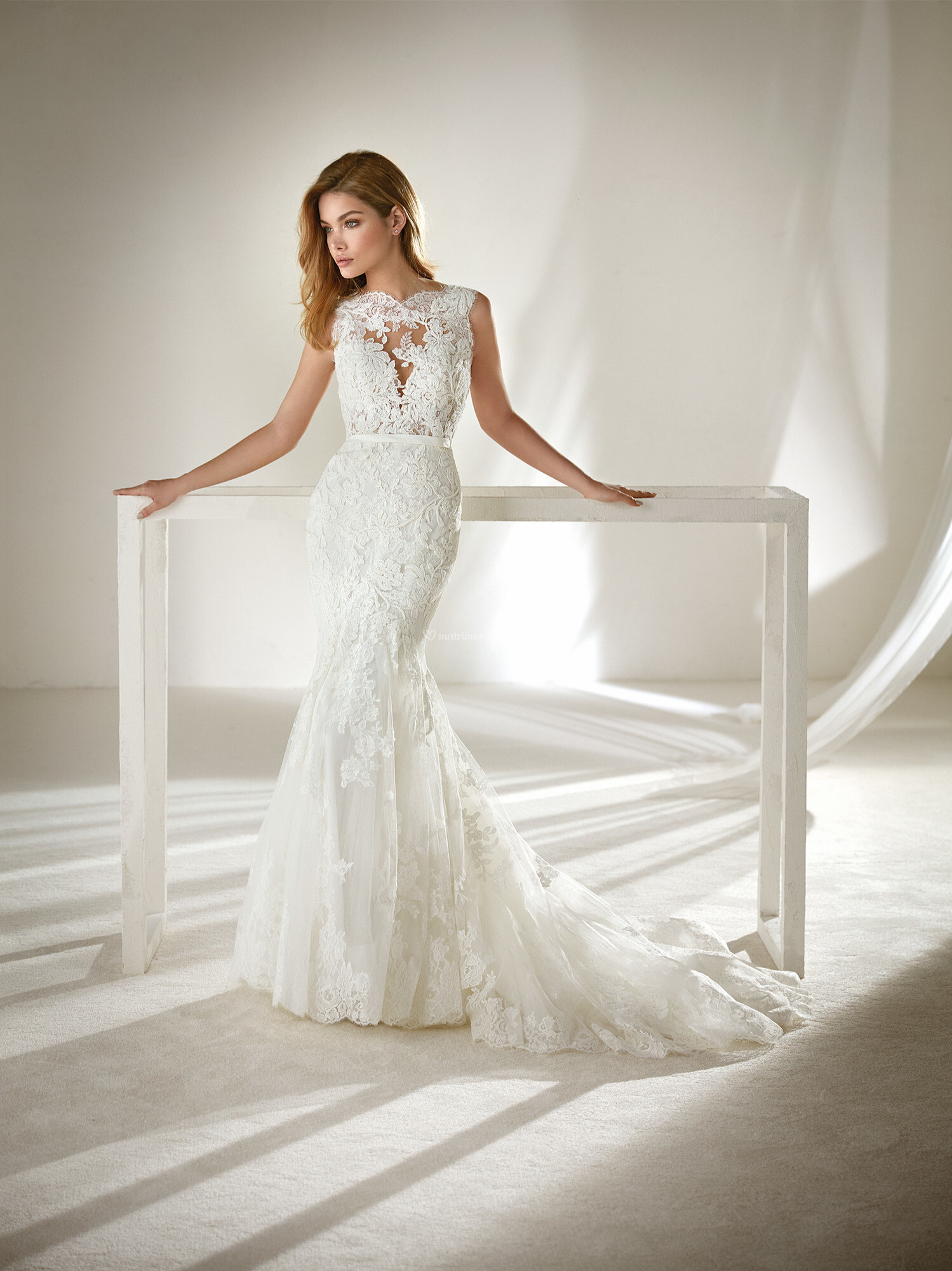 ingram pronovias