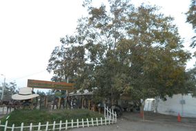 El Rancho de Robertín
