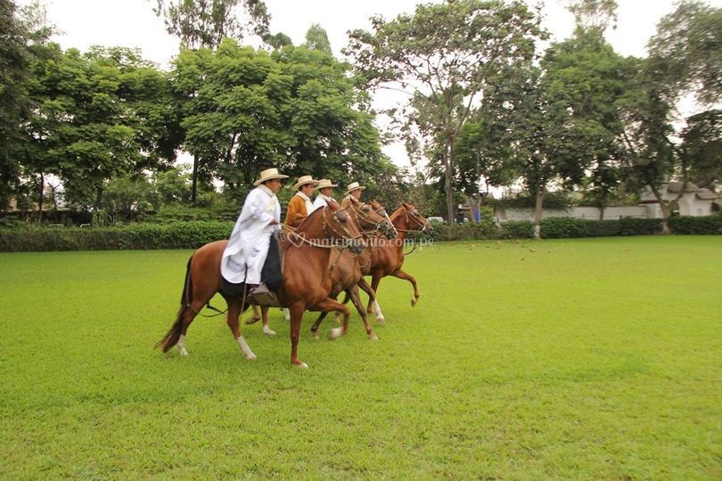 the hacienda canas