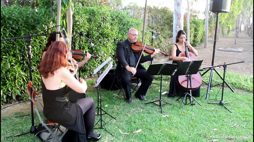 Boda Majo y Alonso 