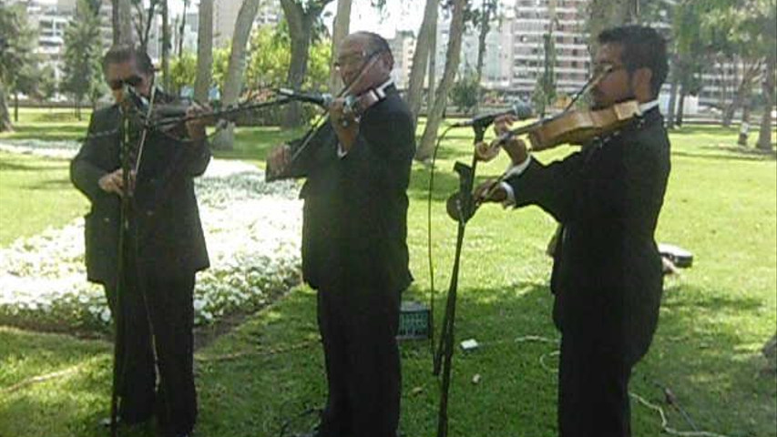 Violines para Matrimonio