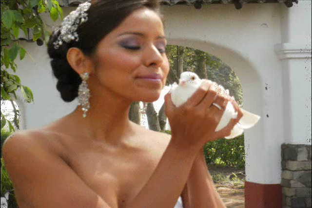 Demostración de la suelta de palomas en un matrimonio