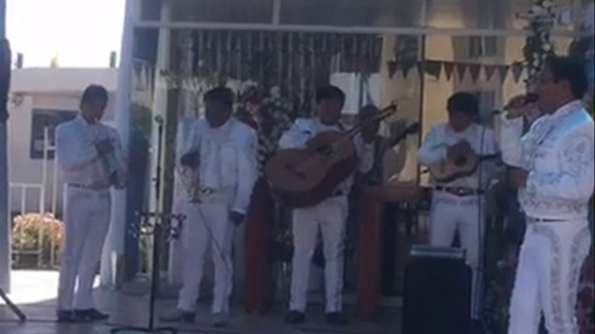 Mariachi Los Potrillos