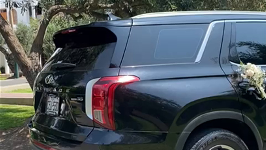 Camioneta Hyundai Palisade