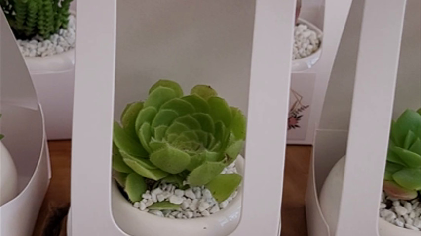 Recuerdos Personalizados para Matrimonio