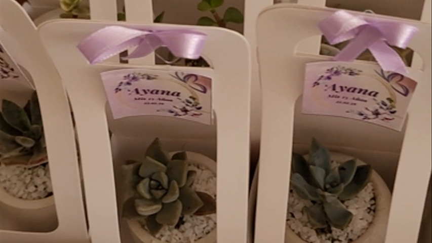 Suculentas y Cactus naturales Recuerdos Matrimonio