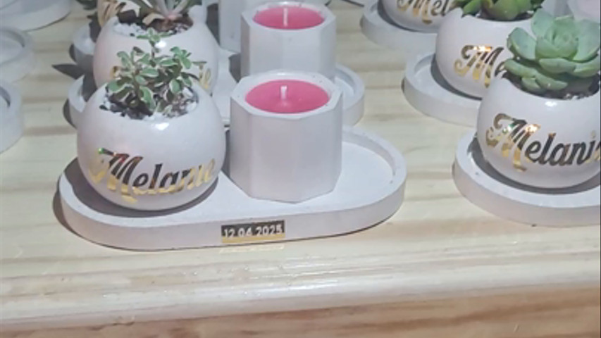 Suculenta natural y Vela Aromática Artesanal