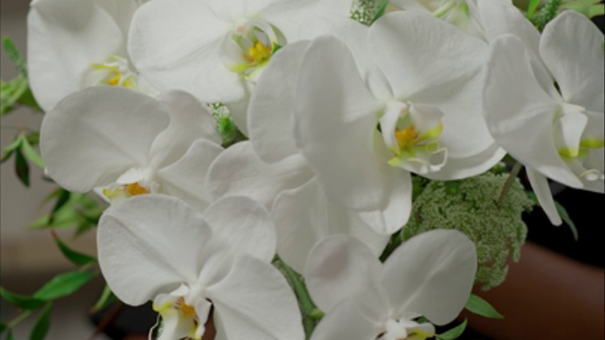 Bouquet con Orquídeas