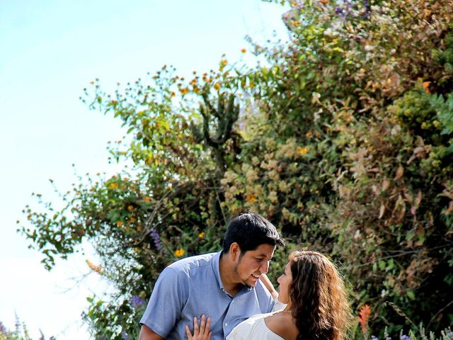 El matrimonio de Aurio y Felicita en Lima, Lima 5