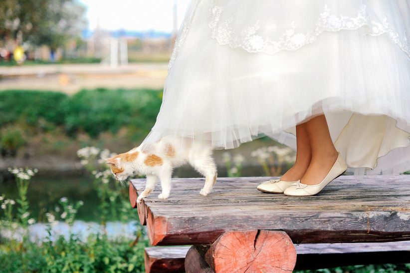 Zapatos de novia: Los tips que necesitas saber  👠 2
