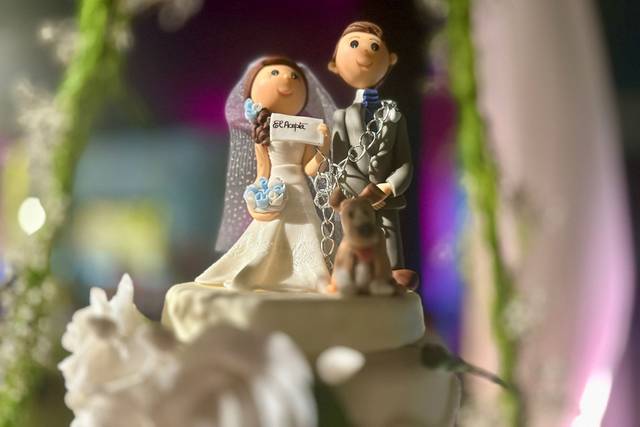 CM Bodas 5