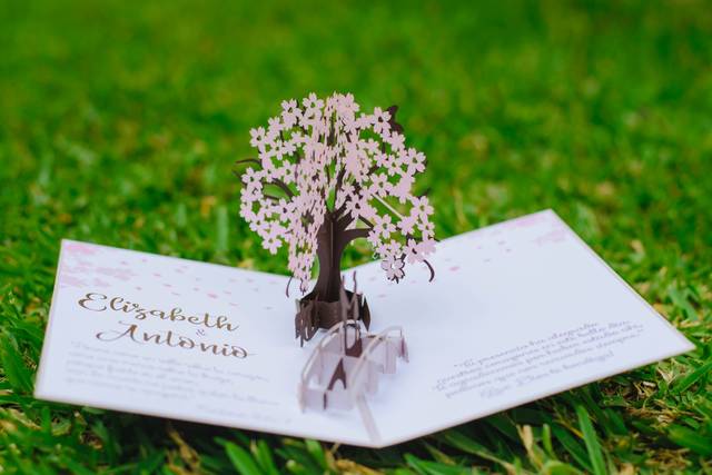 Wedding Arts 1