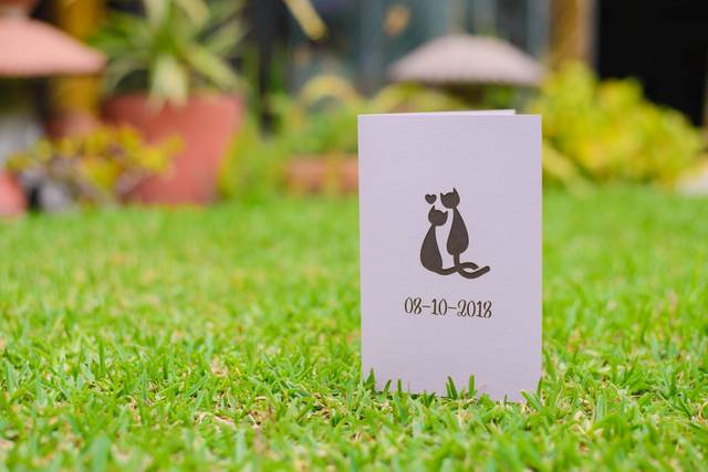 Wedding Arts 2