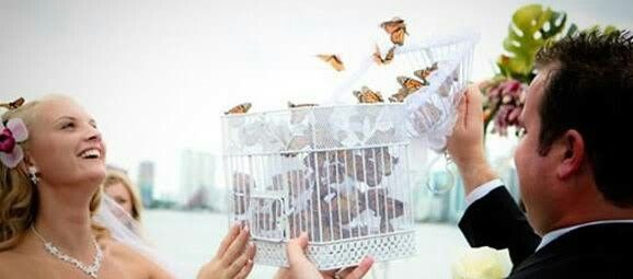Liberación de mariposas masivo - 3