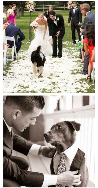 No dejes de llevar a tu perro a tu boda 