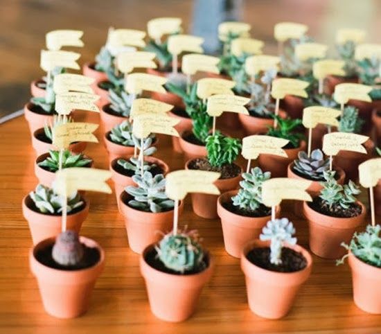 decoración matrimonio con cactus