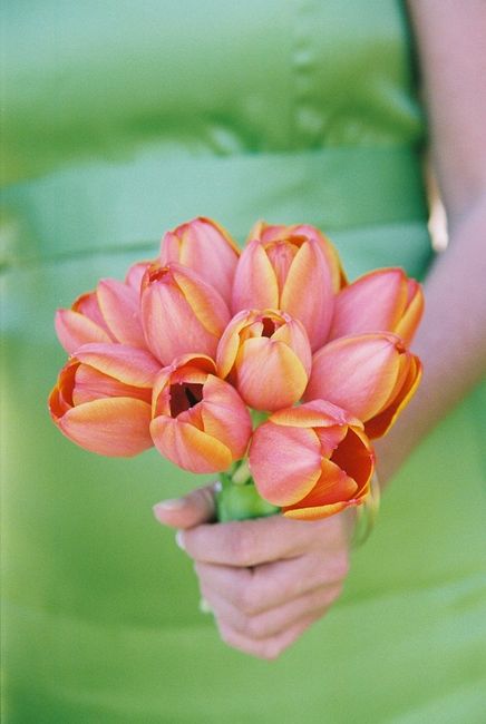 bouquet con tulipanes