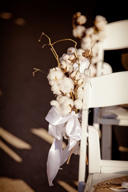 boda de algodón
