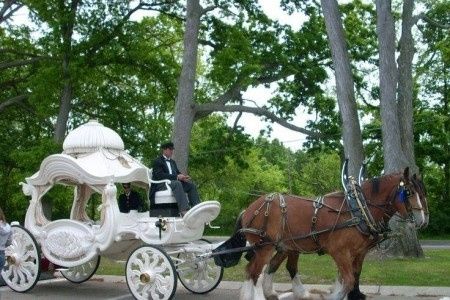 carruaje boda, carroza boda, carruaje novia, carroza novia