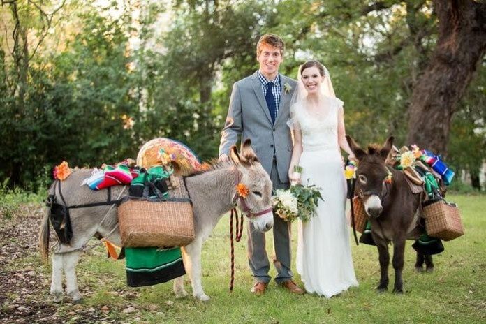 4. Foto con animales, boda en el campo