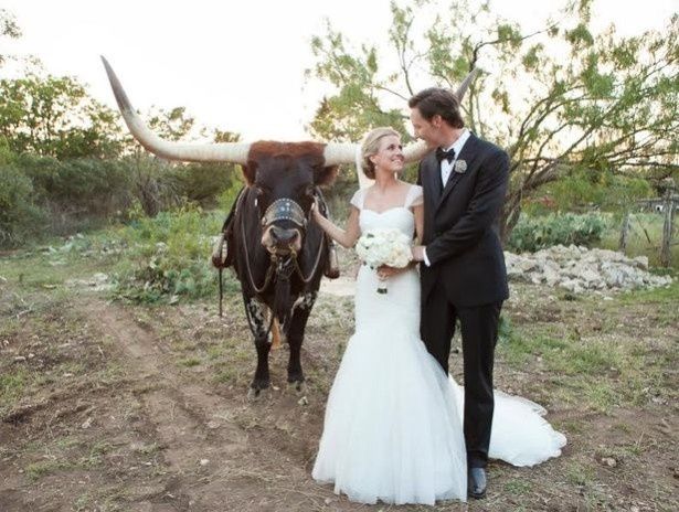 9. Foto con animales, boda en el campo