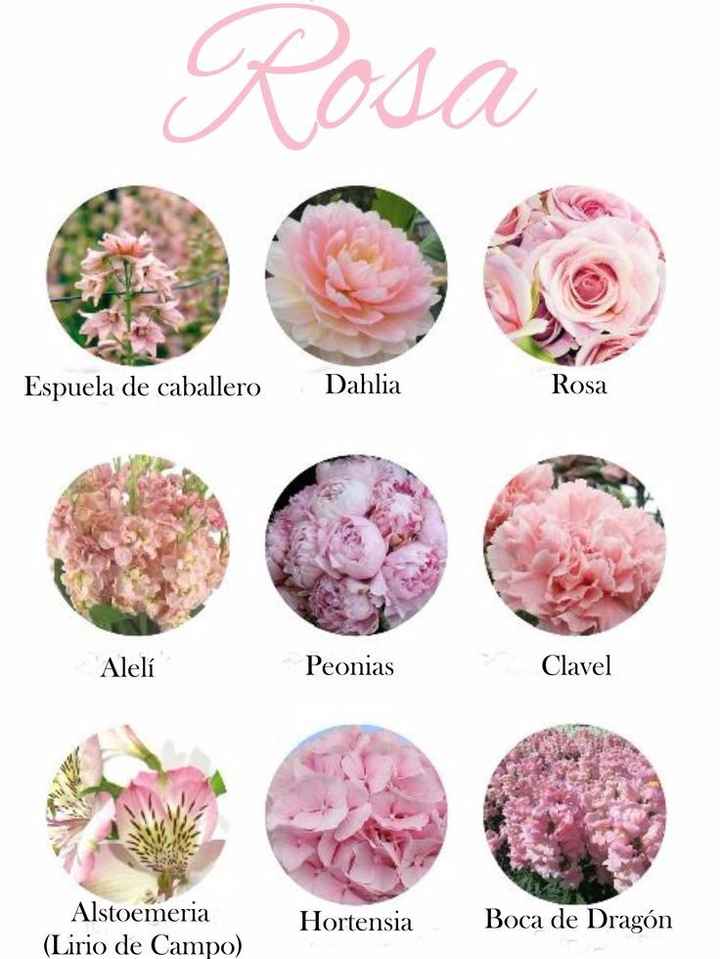 Tipos de flores de color rosado para tu ramo