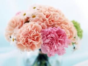 bouquet con claveles