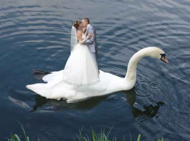 foto boda rusa