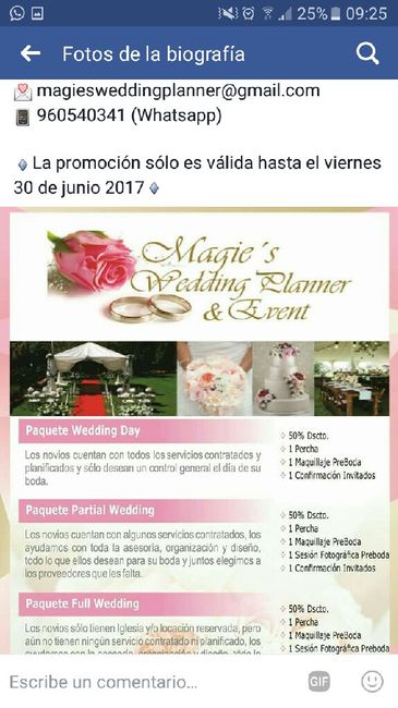 Promo wedding planner - 2