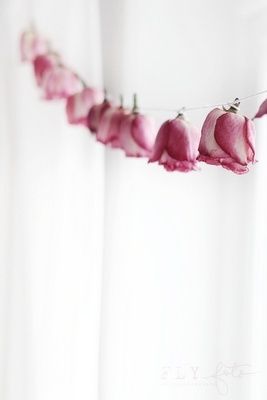 cortina rosas