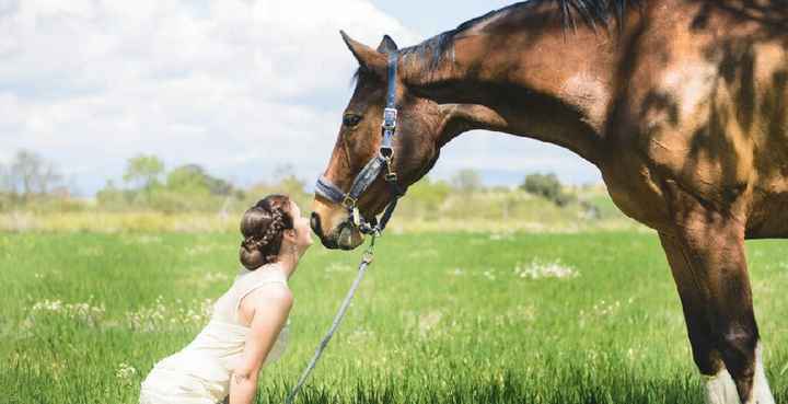 Fotos nupciales con caballos - 2