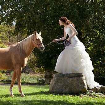 Fotos nupciales con caballos - 17