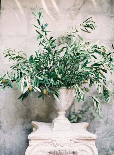5. Decoración Boda con Hojas de Olivo