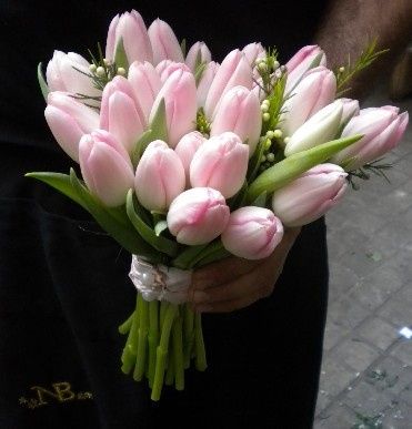 18. Decoración con Tulipanes