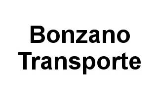 Bonzano Transporte logo
