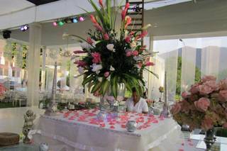 Franciz Eventos