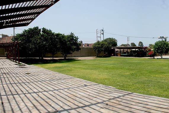 Terraza en jardín