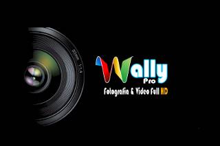 Wally Pro logo