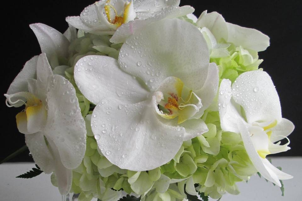 Bouquet de Hortensia/ Orquidea
