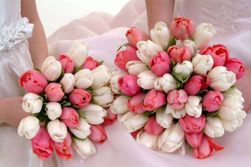 Bouquet tulipanes