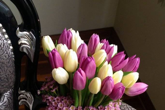 Tulipnaes blancos y barny