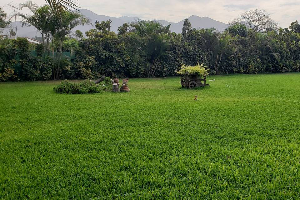 Disfruta de un jardín cuidado